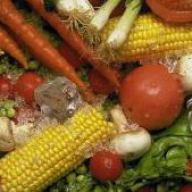 Diabeteszentrum L1 - Schwerpunktpraxis für Ernährungsmedizin BDEM 